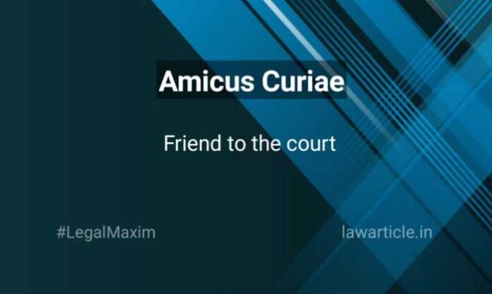 Amicus Curiae