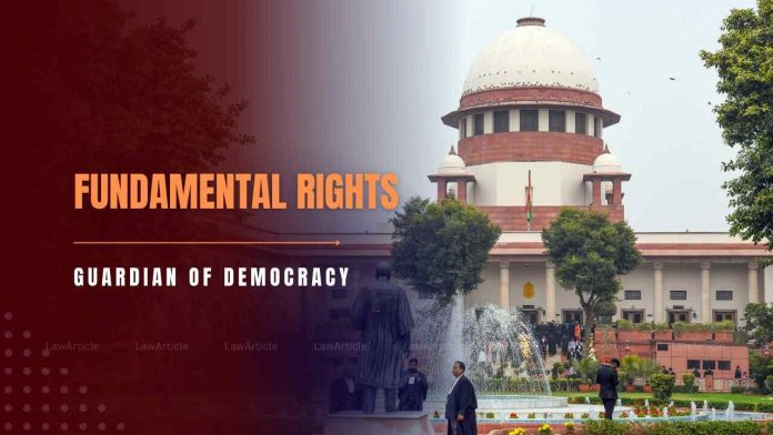 Fundamental rights