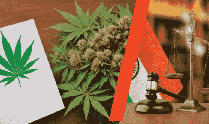 Decriminalisation of Marijuana in India